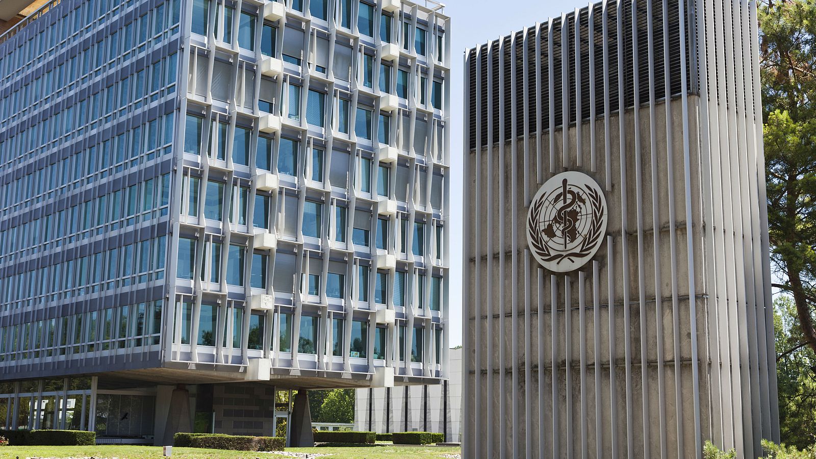 La OMS alerta de las consecuencias de la pandemia en los adolescentes - RTVE.es - Especial Coronavirus | Ver