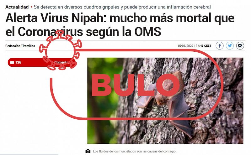 No, no hay un nuevo brote 2020 del virus Nipah tan peligroso como el coronavirus