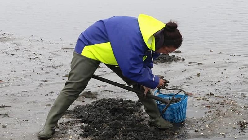 Mujeres del mar: las grandes olvidadas