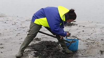 Tolerancia Cero - Mujeres del mar - 25/06/20 - escuchar ahora