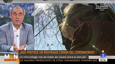 �Puede un resfriado habernos creado inmunidad frente al coronavirus?