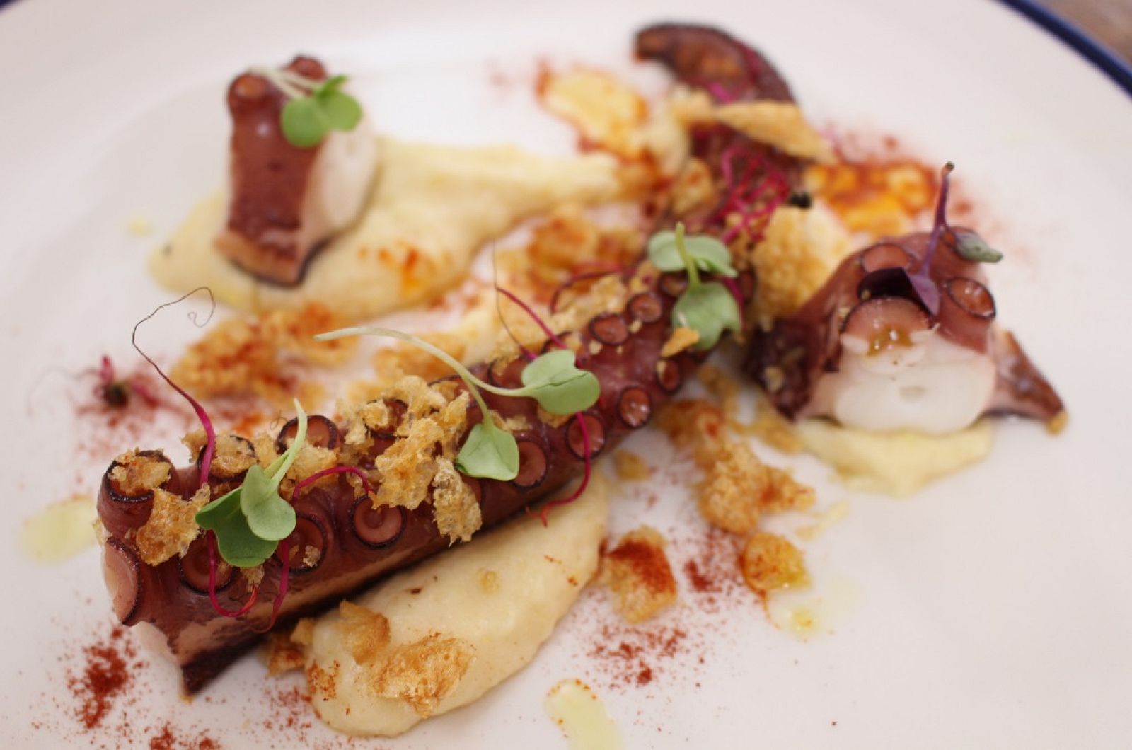 Pulpo cocido con puré de chirivía | Ver