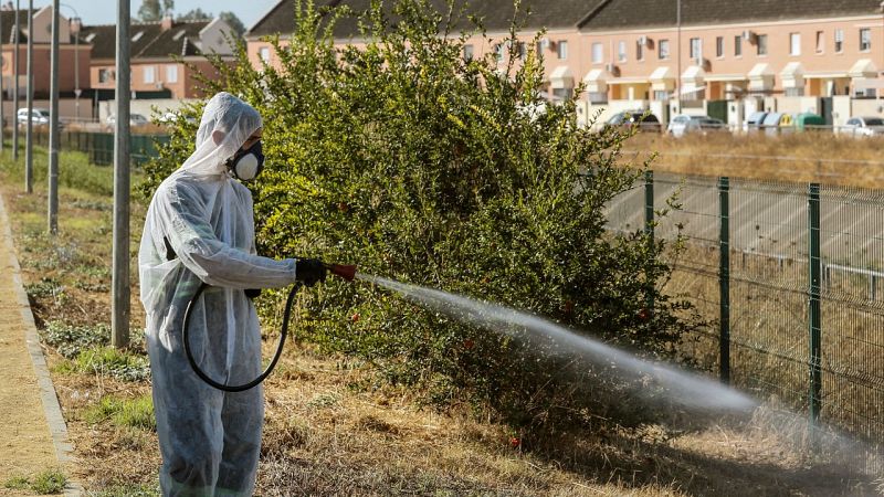 Aumentan a 31, entre casos probables y confirmados, las personas afectadas por el virus del Nilo en Sevilla