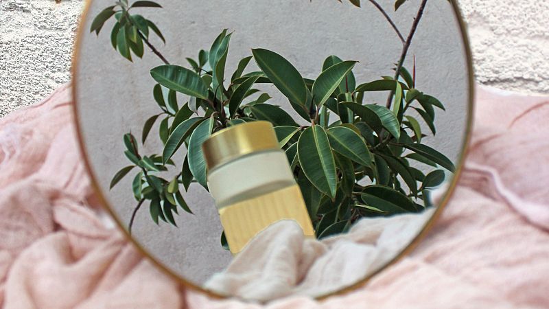 Cosmética natural: Todo lo que debes saber y beneficios para tu piel