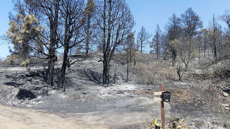 El incendio de La Palma se da por controlado y los vecinos comienzan a regresar a sus casas
