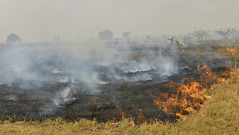Los incendios en la Amazonía registran en agosto su segundo mayor número en 10 años