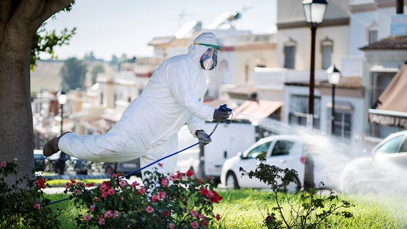 Una mujer de 87 años, cuarta fallecida por el virus del Nilo en Andalucía y la primera en la provincia de Cádiz