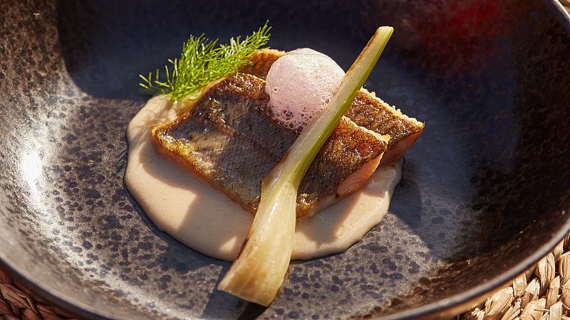 Receta de trucha asada con salsa de coco, hinojo y aire campari