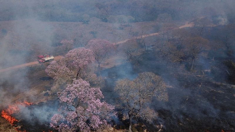 Los incendios en el Pantanal, el mayor humedal del mundo, alcanzan un nivel récord y presionan a Bolsonaro
