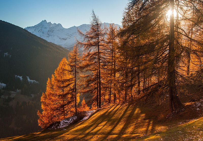 ¡Llega el otoño astronómico! Te contamos cómo se desarrollará este año