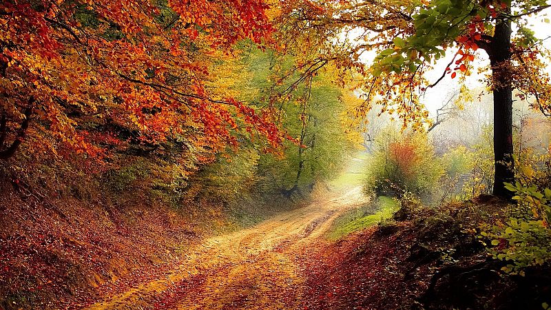 Los 10 mejores lugares para visitar en otoño en España