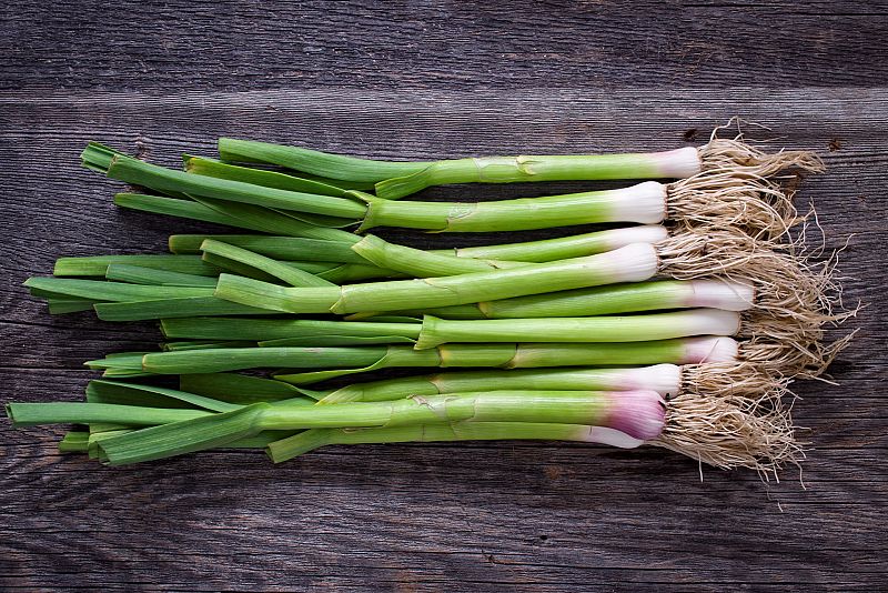 ¿Cómo es el cultivo del puerro? ¡Te enseñamos a plantarlos en La Huerta!