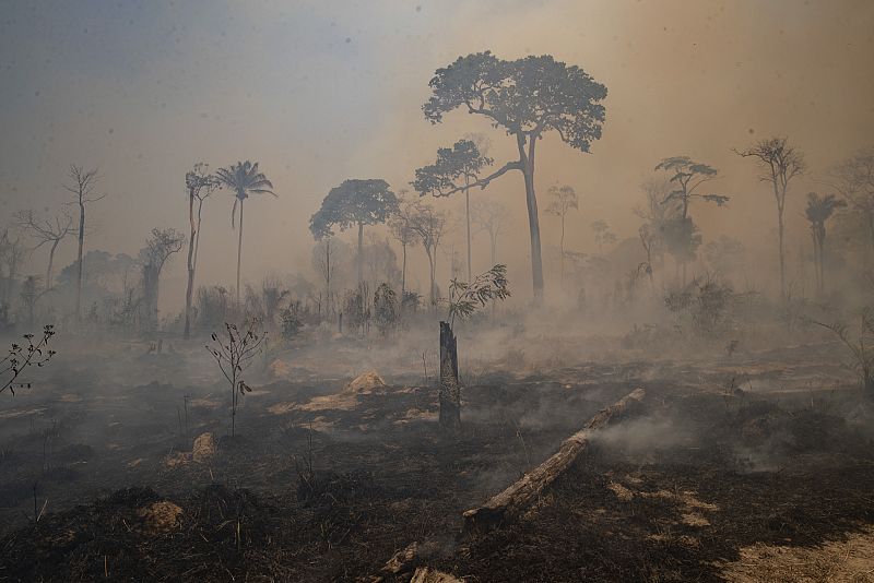 ¿Cómo afecta el cambio climático a los desastres naturales?