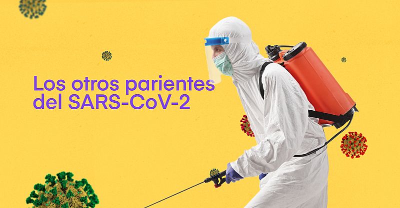 Los otros parientes del SARS-CoV-2