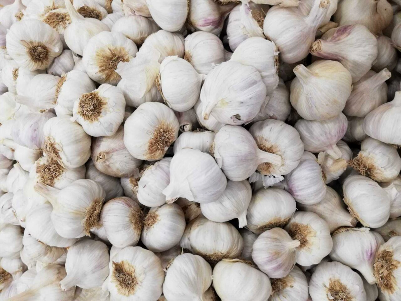 "Sin m�, Espa�a se hundir�a": al habla el ajo espa�ol