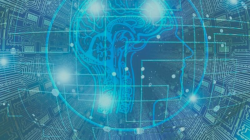 Neurooratoria: c�mo�hablarle directamente al cerebro