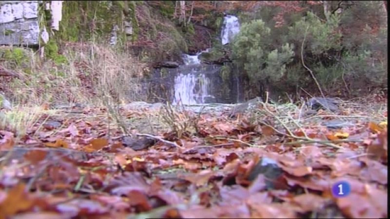 El otoño llega al Hayedo de la Tejera Negra con las reservas al completo