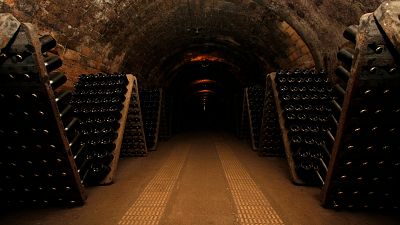 Las cuñas de RNE - Día Mundial del Enoturismo, en "Memoria de delfín" - Escucha ahora