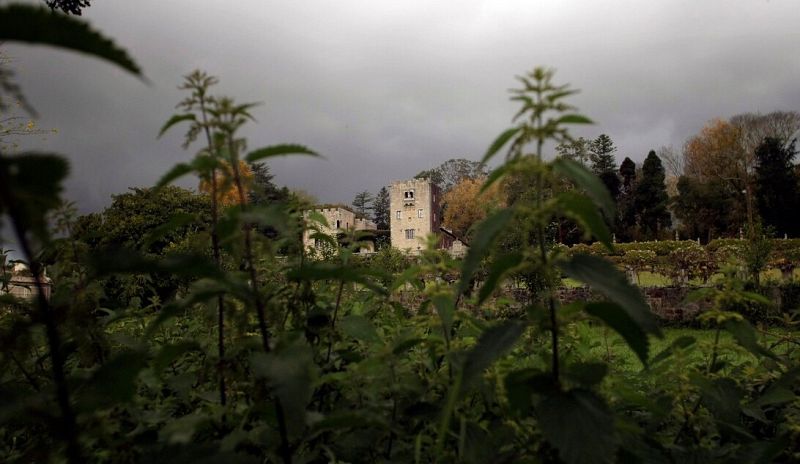 Un juzgado de A Coruña estima la petición del Estado y prohíbe a los Franco sacar bienes del Pazo de Meirás
