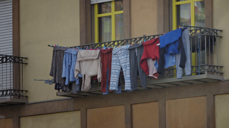 Mitos y realidades: migraciones en época de pandemia