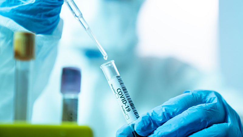 ¿Cómo funcionan los test domésticos?