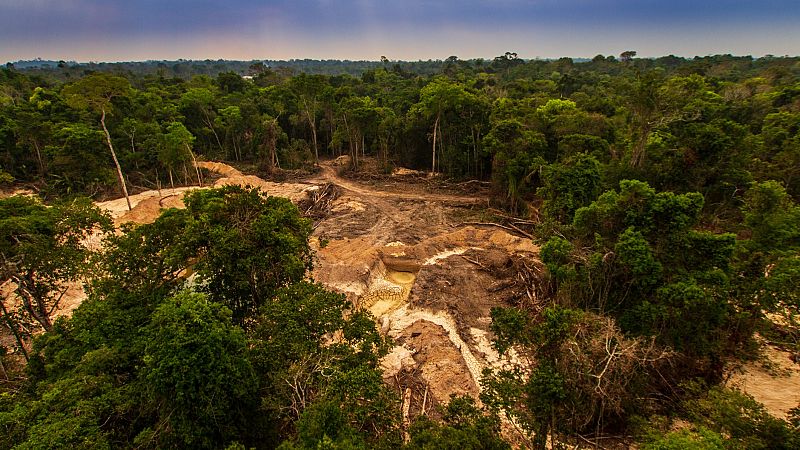 La deforestación en la Amazonía brasileña crece un 9,5 % en el último año