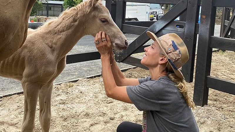 Elsa Pataky nos despierta con imágenes del parto de su yegua y presume de habilidades veterinarias