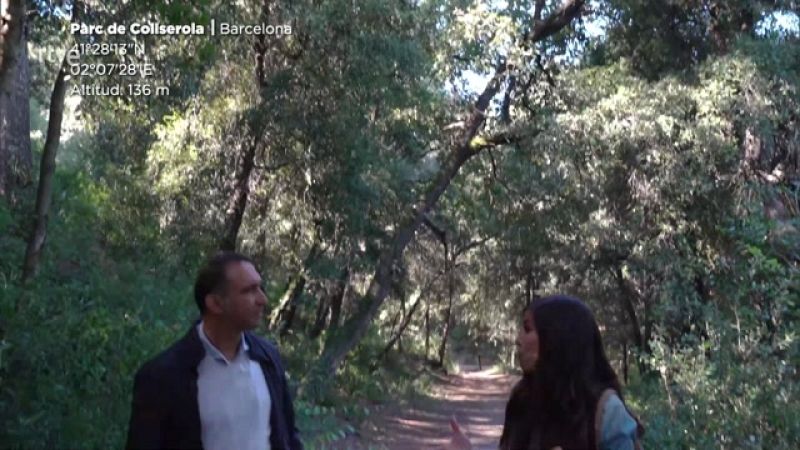 ¿Por qué no todos los animales pueden domesticarse?