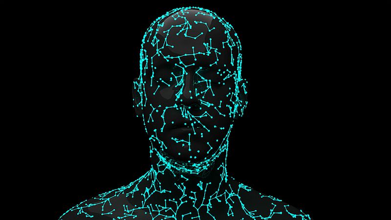 El cerebro y el autorreconocimiento