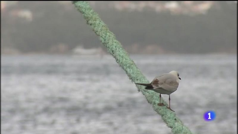 Máis de 100 barcos galegos e milleiros de empregos pendentes das negociacións do Brexit