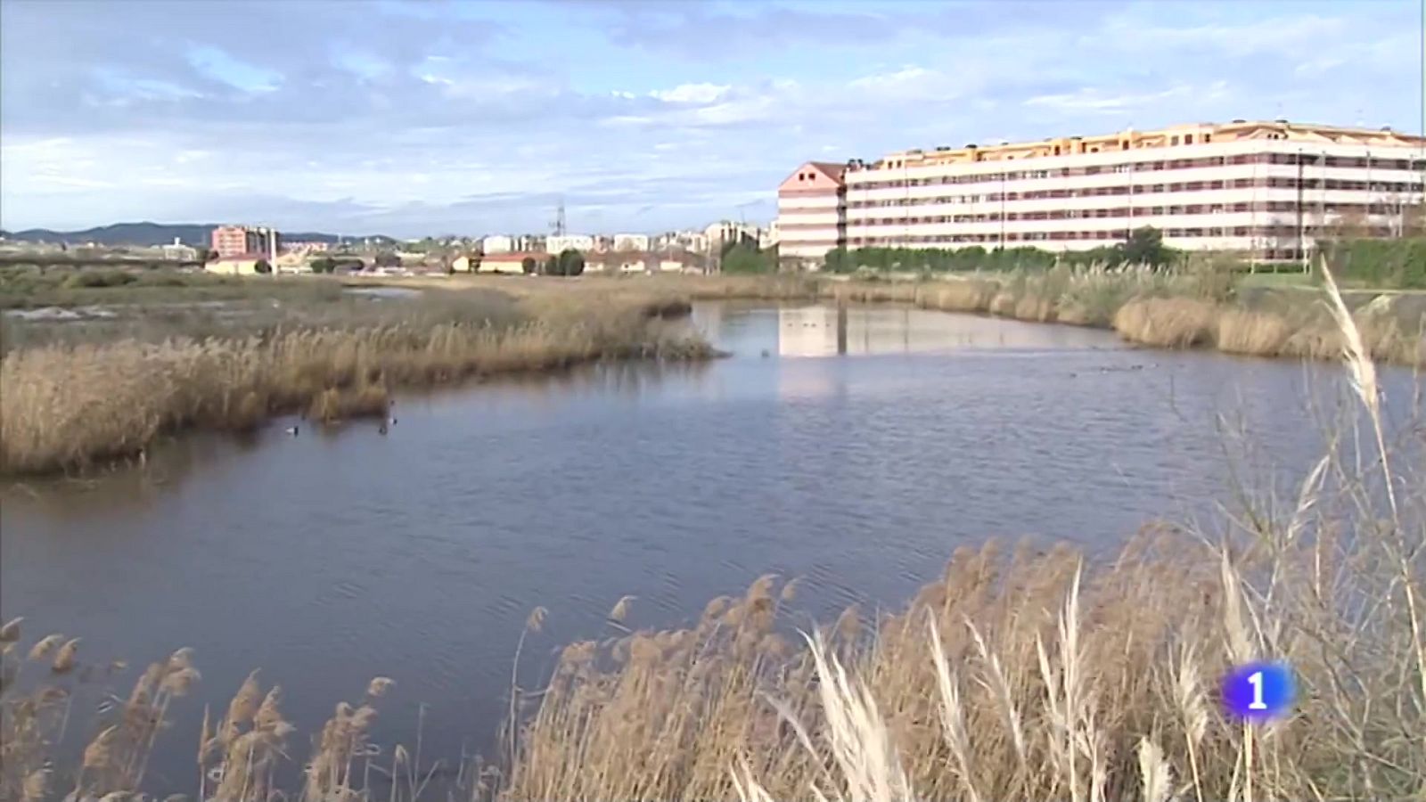 Inundaciones en zonas edificadas junto a la marisma
