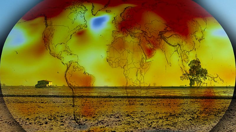 Adaptarse o morir: cómo prepararse para el cambio climático