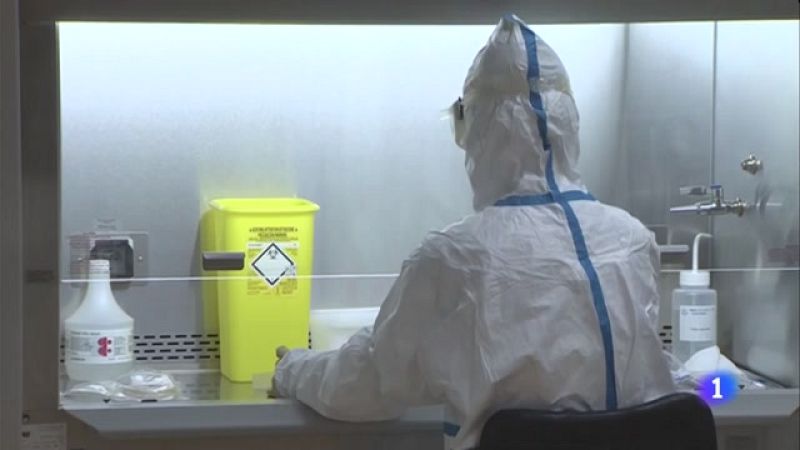 Els pacients de Covid-19 generen anticossos capaços de neutralitzar el virus durant almenys 6 mesos