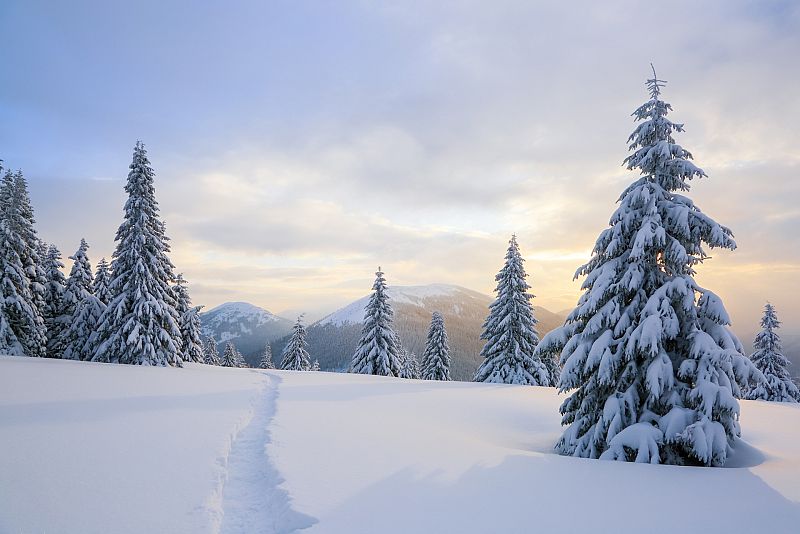 Leyendas y mitos sobre la estación más fría del año: el invierno