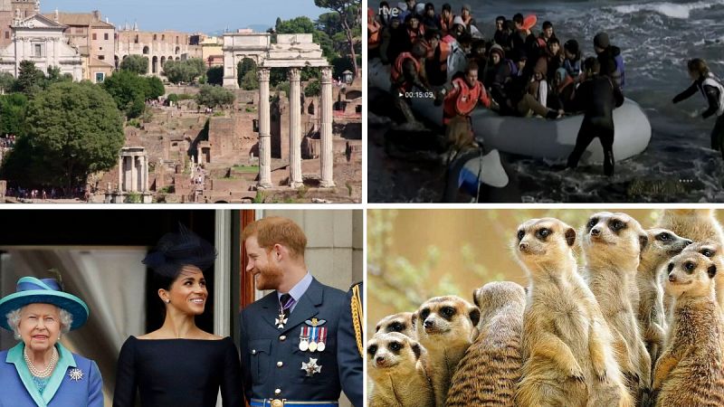 Actualizamos: Los documentales más vistos y los que no te puedes perder