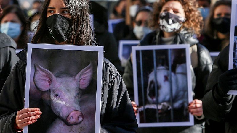 ¿Dejarías de comer carne para salvar al planeta? Quizás no tengas que hacerlo