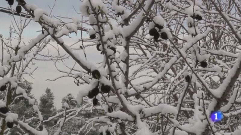 Arriba el temporal de neu a Catalunya