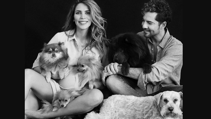 David Bisbal, desolado por la muerte de su perro Maxi: Famosos que lloraron por la pérdida de sus mascotas