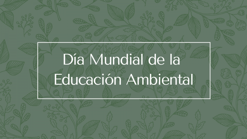 Día Mundial de la Educación Ambiental: ¿qué podemos aprender?