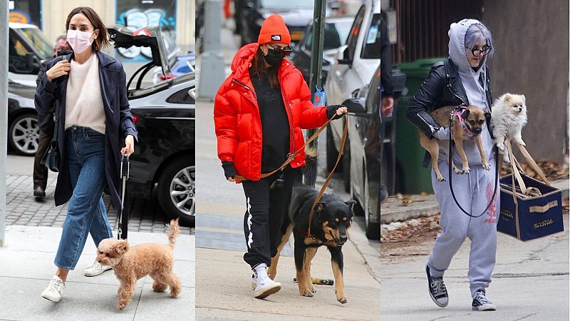 El perro, el mejor amigo del hombre... y del famoso