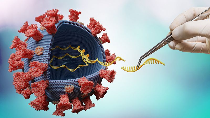 Secuenciar el coronavirus, una necesidad "crítica" para garantizar la efectividad de las vacunas