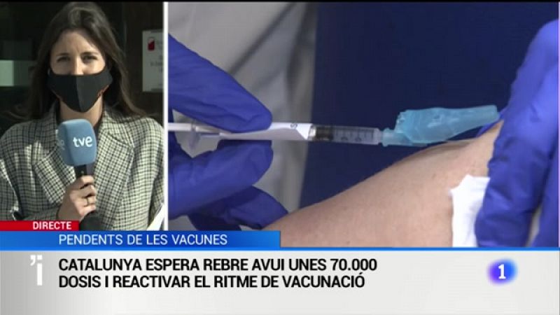 Catalunya reprèn el ritme de vacunació amb 65.520 dosis de Pfizer i 8.000 de Moderna