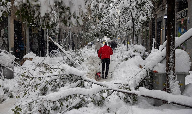 Enero, el mes en el que la oscilación térmica alcanzó los 55º: "La situación es de emergencia climática absoluta"