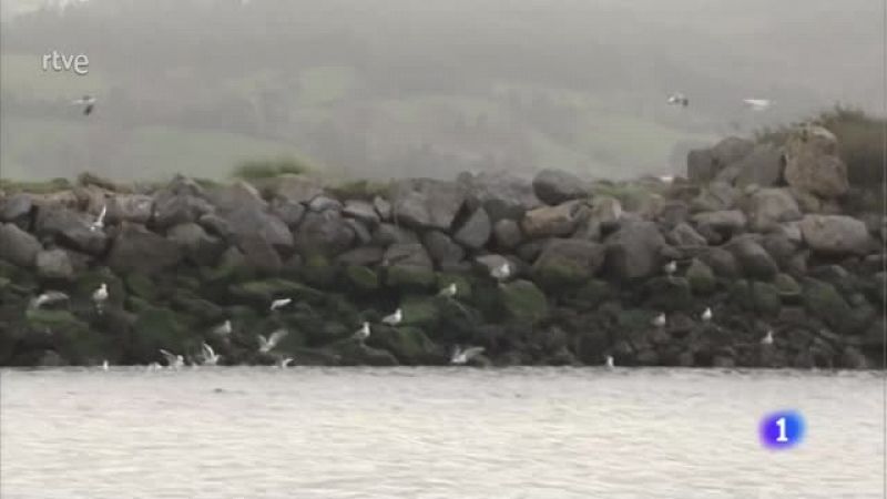 El cambio climático se manifiesta en los humedales de Cantabria