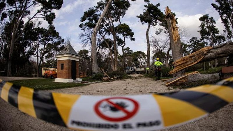 La factura de Filomena: subida de temperaturas y un gasto incalculable