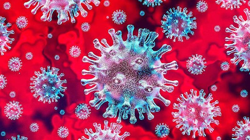 Detectats dos casos de la variant brasilera a Catalunya