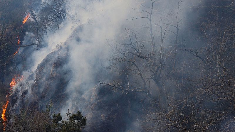 Estabilizado el incendio que afecta a Navarra y País Vasco, tras calcinar unas 2.000 hectáreas