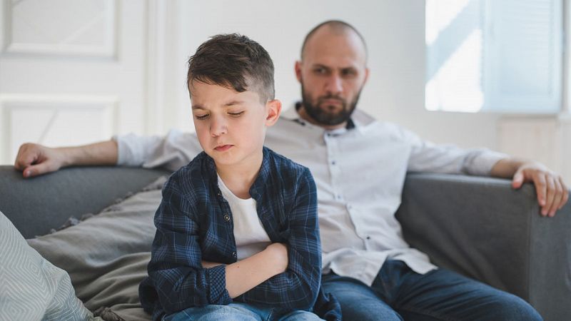 Síndrome d'Alienació Parental, forma de violència envers les dones