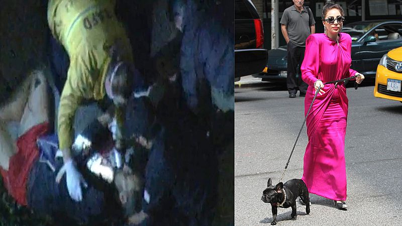 Lagy Gaga, aterrorizada: secuestran a sus perros tras disparar a su paseador