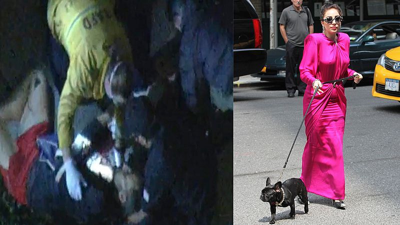 Lagy Gaga, aterrorizada: secuestran a sus perros tras disparar a su paseador